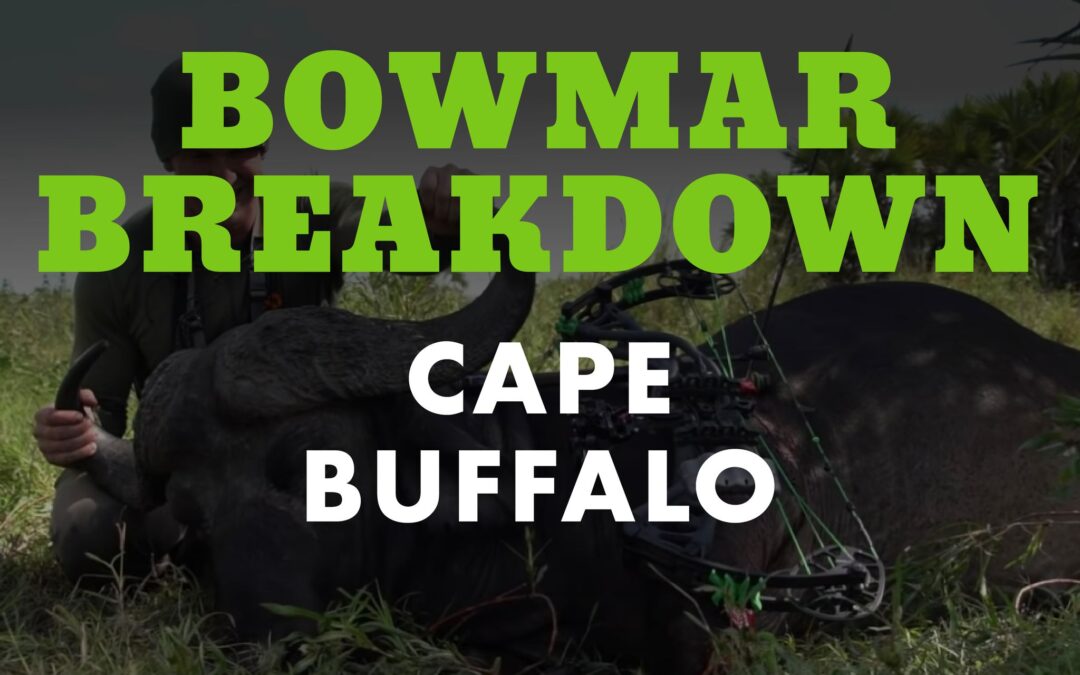 Josh Bowmar’s Cape Buffalo | Bowmar Breakdown