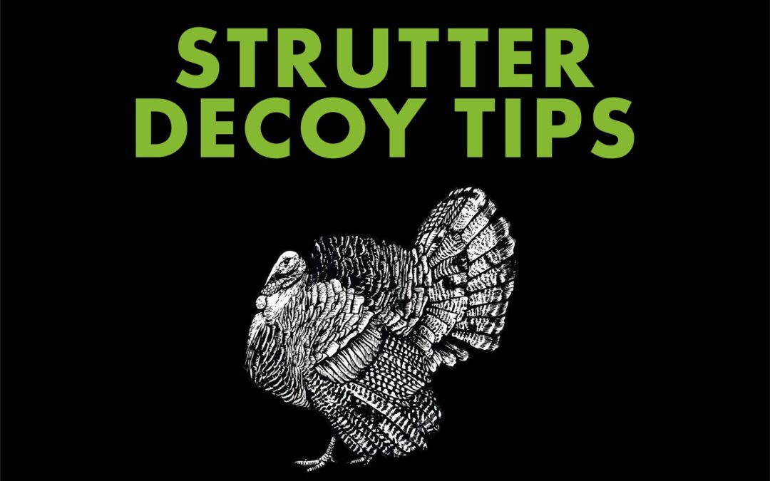 Josh Bowmar’s Strutter Decoy Tips