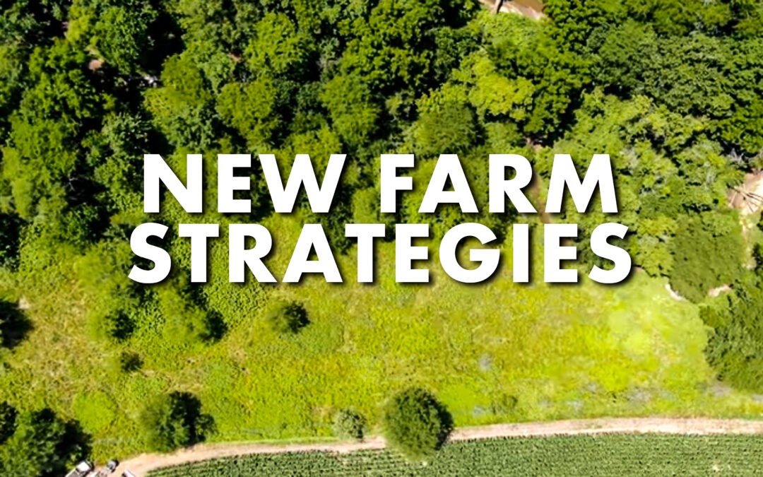 Josh Bowmar’s New Farm Strategies