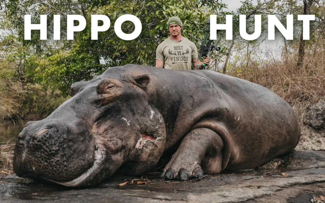Josh Bowmar’s Epic African Hippo Hunt
