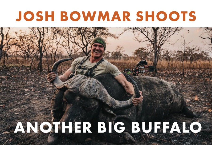 Josh Bowmar Shoots Another Big Buffalo