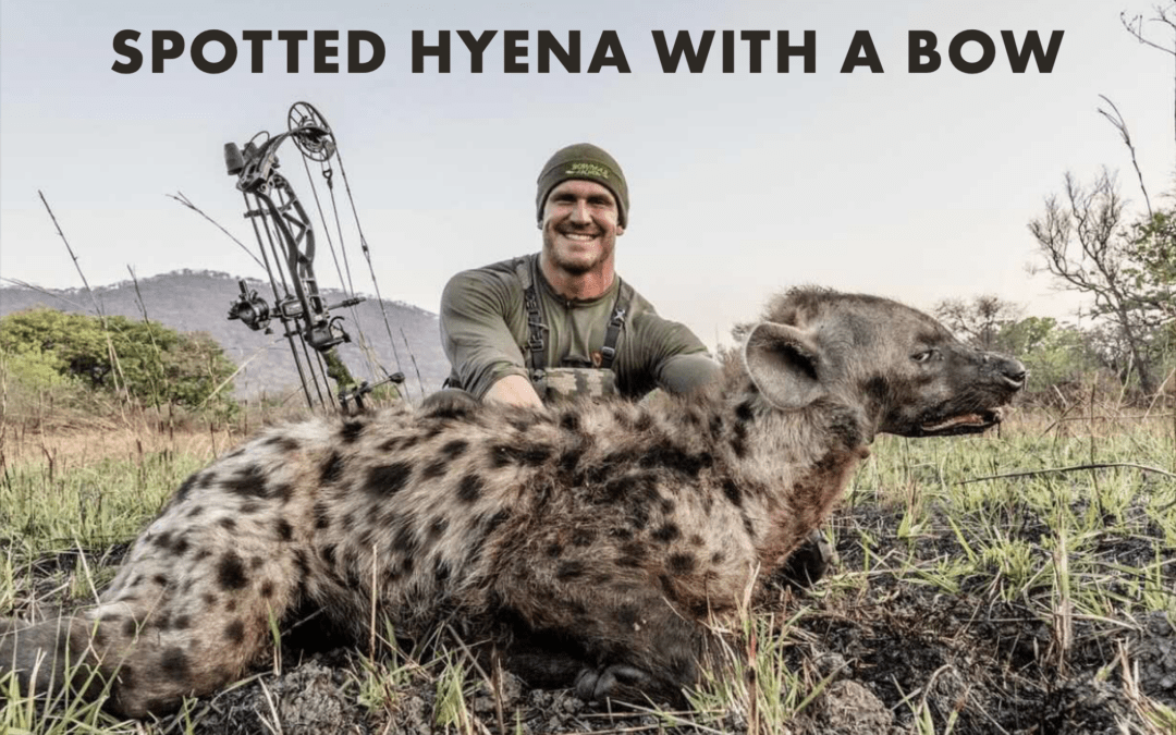 Josh Bowmar’s Spotted Hyena with a Bow