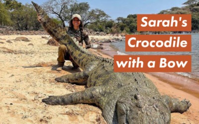 Sarah Bowmar’s Crocodile with a Bow – Bowmar Archery